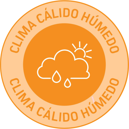 Clima cálido húmedo Clima cálido húmedo
