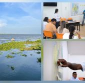 FOTOGRAFÍA DECRETO 381