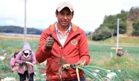 Alivio económico en el pago de facturas de acueductos rurales. Foto: archivo. MVCT.