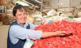 Mas de 3 mil recicladores capacitados para el acceso a recursos de tarifa de aseo Mas de 3 mil recicladores capacitados para el acceso a recursos de tarifa de aseo