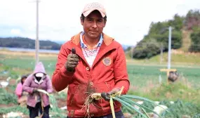 La construcción de las 5.800 viviendas nuevas apalancará inversiones por un total de $375.411 millones. Foto: René Valenzuela (MVCT)