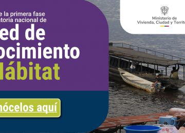 BANER PIEZA COMUNICADO ONU HABITAT