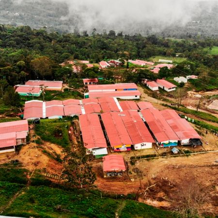 ETCR Llano Grande - Dabeiba, Antioquia - Foto: Cortesía ARN