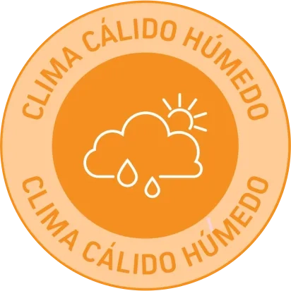 Clima cálido húmedo