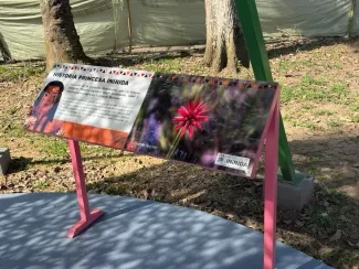 FOTOGRAFIA ENTREGA PARQUE RECREODEPORTIVO EN GUAINÍA 04