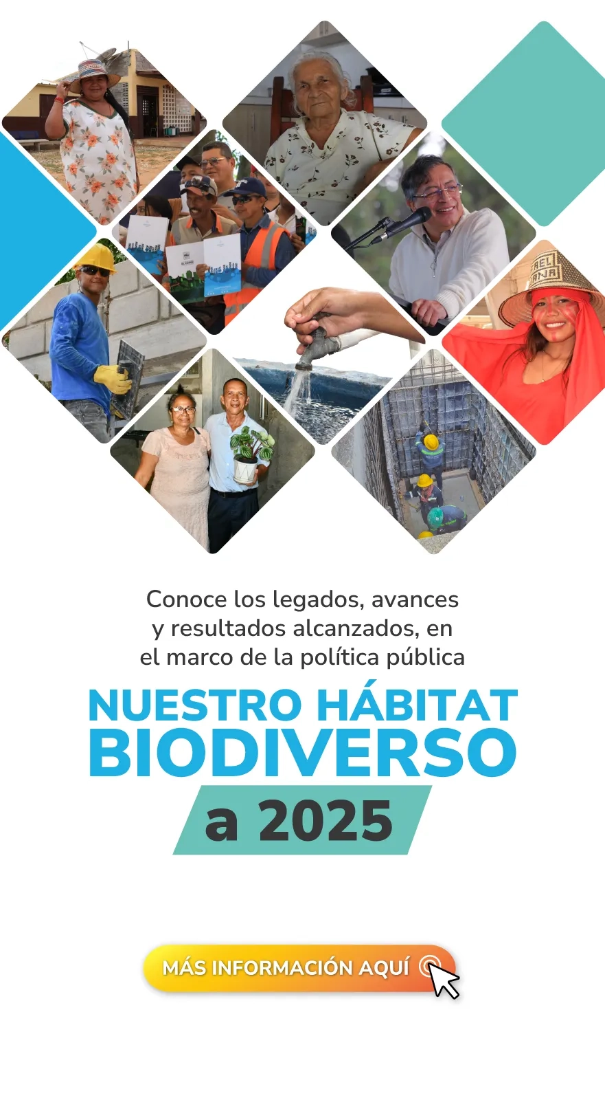 PIEZA GRAFICA INFORME DE GESTION 2025